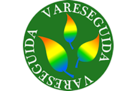 VareseGuida